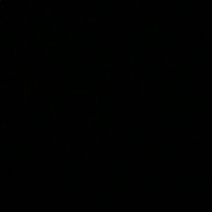 Meet your Posher, Ava